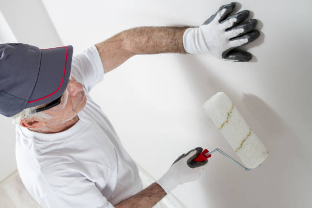 Reliable Rocky Point, WA Mold Removal Solutions