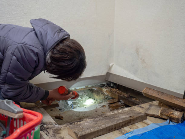 Best Post-Construction Mold Inspection  in Rocky Point, WA