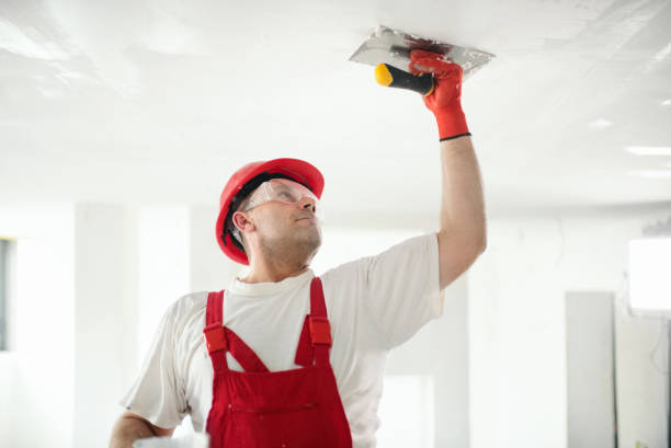 Best Black Mold Removal  in Rocky Point, WA
